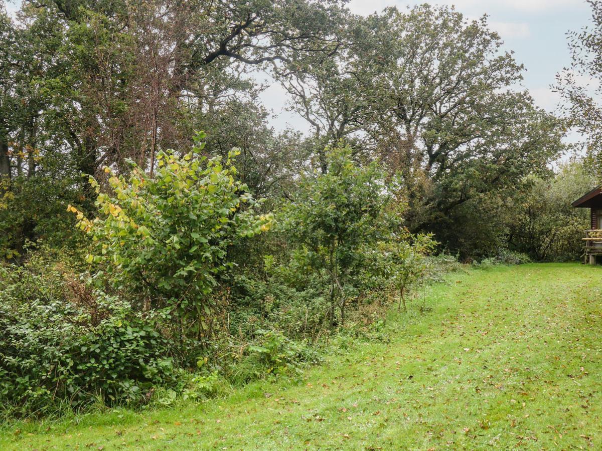 Braeburn Lodge Winkleigh Exterior foto